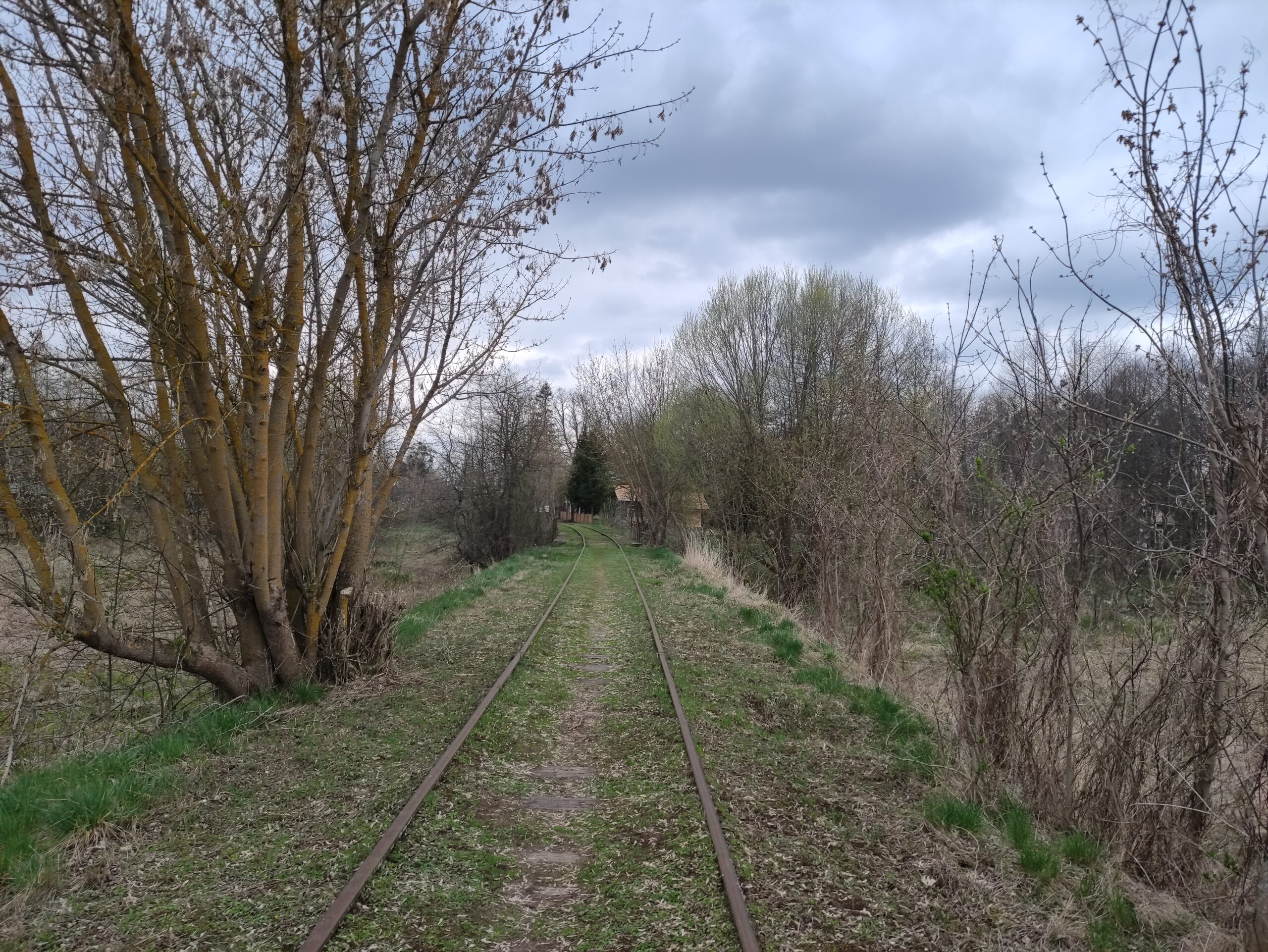 Nieczynna linia kolejowa w Białowieży